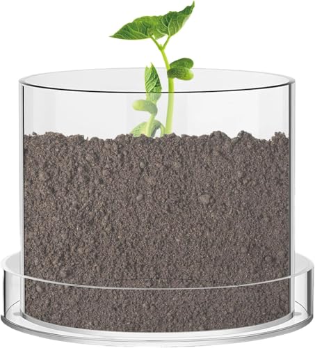 Denxahao Pflanzentöpfe Klare Anzuchttöpfe Klar Anzuchttöpfe Pflanzgefäß Mit Drainage Wiederverwendbare Acryl Behälter Für Sämlinge Wachstum Innen Garten Blumen Pflanzen (8in) von Denxahao