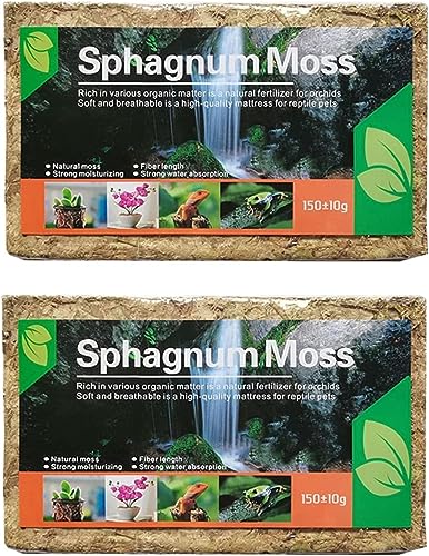 Denxahao Sphagnum Moos Wassermoos Trockenmoos Wasser Gras Substrat Orchideensubstrat Spagnummoss für Bonsai Pflanzen Orchideen Terrarium Blumenerde Zimmerpflanzen Torfmoos für Garten (2 Stück) von Denxahao