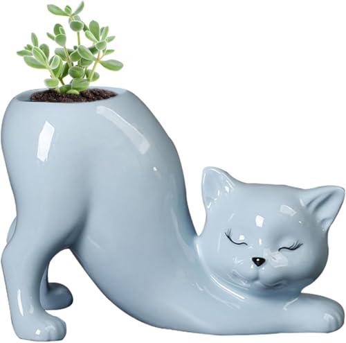 Katzen-Übertopf Pflanzentöpfe Keramik Katzenpflanzer Niedlicher Mini Sukkulenten Kätzchen Töpfe Für Haus Garten Hydrokultur Pflanzen Hochzeit Dekoration Outdoor Pflanzgefäß (Blau) von Denxahao