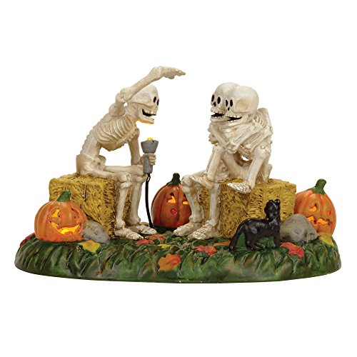 Department 56 Halloween Village Scary Skeleton Stories Light Up Figurine 4056710 von Department 56