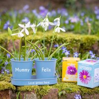 Personalisierte Metall Blau Doppel Planter - Wachsen Sie Ihre Eigene Geburtsblume-, Geburtstagsgeschenk, Gartenarbeit Geburtsblume von DepartmentOfGifting