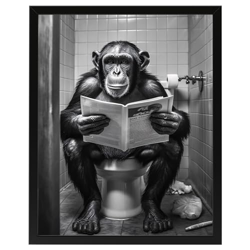 Affe auf WC, Poster 40cm x 50cm mit Rahmen, Toilette Badezimmer Deko, Wand-Deko Bilder Lustiges Geschenk von Deqosy