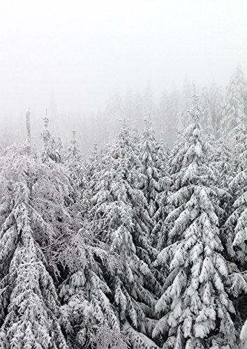 PICSonPAPER Kunstdruck WINTERWALD, ungerahmt DIN A3, Wandbild, Geschenk, Poster, Geschenkidee, Geburtstagsgeschenk (Ohne Bilderrahmen DIN A3) von PICSonPAPER