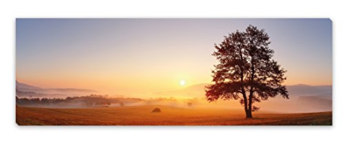 PICSonPAPER Leinwandbild Panorama Baum, 90 cm x 30 cm, Dekoration, Kunstdruck, Wandbild, Geschenk, Leinwand Natur (Baum) von PICSonPAPER