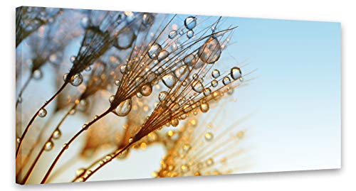 PICSonPAPER Leinwandbild Pusteblume 110 cm x 50 cm, Dekoration, Kunstdruck, Wandbild, Leinwand Blume, Natur von Deqosy