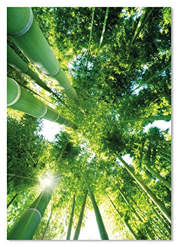 PICSonPAPER Poster Green Bamboo, ungerahmt 30 cm x 40 cm, Dekoration, Kunstdruck, Wandbild, Fineartprint (Bambus, 30 cm x 40 cm) von PICSonPAPER