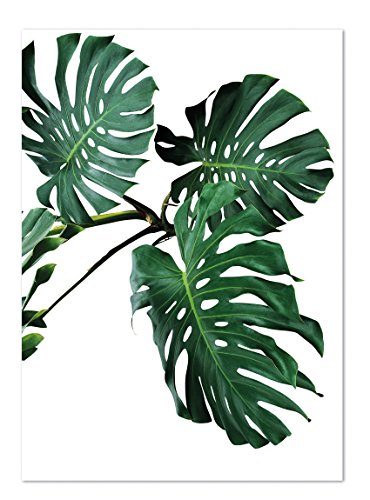 PICSonPAPER Poster Monstera, ungerahmt 40 cm x 50 cm, Dekoration, Kunstdruck, Wandbild, Fineartprint, Wandposter, Poster Blatt, Poster Blätter, (Monstera ungerahmt, 40 cm x 50 cm) von Deqosy