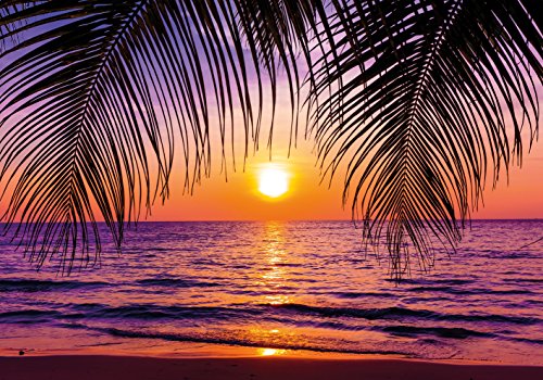 PICSonPAPER Poster Sonnenuntergang Palmen, 100 cm breit x 70 cm hoch, Dekoration, Kunstdruck, Wandbild, Fineartprint, Strand, Sommer, Karibik, Palmen, Premium Qualität von PICSonPAPER