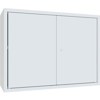 PAVOY Hängeschrank, HxBxT 600 x 800 x 300 mm, Lochrückwand, lichtgrau, lichtgrau von Pavoy