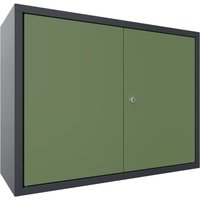 PAVOY Hängeschrank, HxBxT 600 x 800 x 300 mm, resedagrün, anthrazitgrau von Pavoy