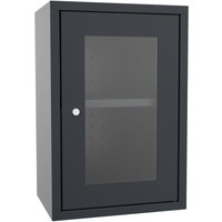 PAVOY Hängeschrank mit Sichtfenster, HxBxT 600 x 400 x 300 mm, Lochrückwand, anthrazitgrau, anthrazitgrau von Pavoy