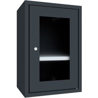 PAVOY Hängeschrank mit Sichtfenster, HxBxT 600 x 400 x 300 mm, anthrazitgrau, anthrazitgrau PAVOY Hängeschrank mit Sichtfenster, HxBxT 600 x 400 x 300 mm, anthrazitgrau, anthrazitgrau von Pavoy
