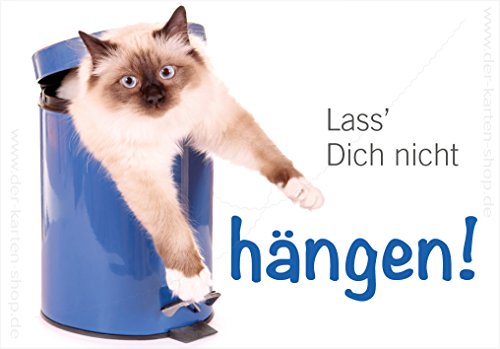 Kühlschrankmagnet Magnet Magnetschild Katze im Eimer "Lass Dich nicht hängen!" Format 86 x 60 mm von Der-Karten-Shop.de