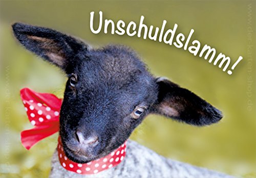 Kühlschrankmagnet Magnet Magnetschild kleines Lamm, Schaf "Unschuldslamm!" von Der-Karten-Shop.de