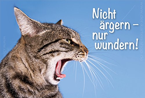 Kühlschrankmagnet Magnet Magnetschild verärgerte Katze "Nicht ärgern, nur wundern!" Format 88 x 60 mm von Der-Karten-Shop.de