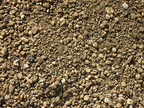 12,5 kg Bimssubstrat 0-10 mm - Pflanzgranulat Bims Dachbegrünung - Lieferung KOSTENLOS (deutsches Festland) von Der Naturstein Garten