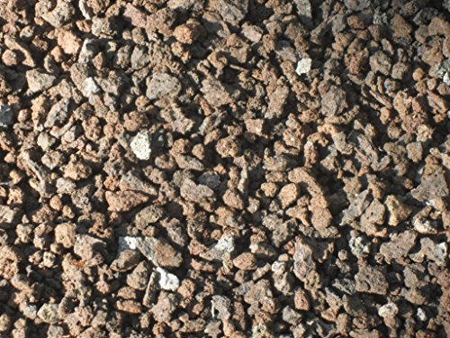 25 kg (ca. 25 L) Lava Mulch 2-8 mm - Pflanzgranulat Lavastein von Der Naturstein Garten
