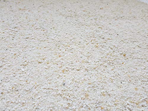 Der Naturstein Garten 25 kg gewaschener weisser Beachsand 0-2 mm - Spielsand Badesand Strandsand Quarzsand Fugensand Sand Lieferung KOSTENLOS von Der Naturstein Garten