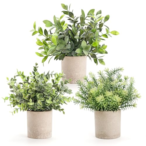 Der Rose 3 Stück Mini-Topfpflanzen, künstliche Eukalyptus-Pflanzen aus Kunststoff, für Zuhause, Büro, Schreibtisch, Bauernhaus, Raumdekoration von Der Rose