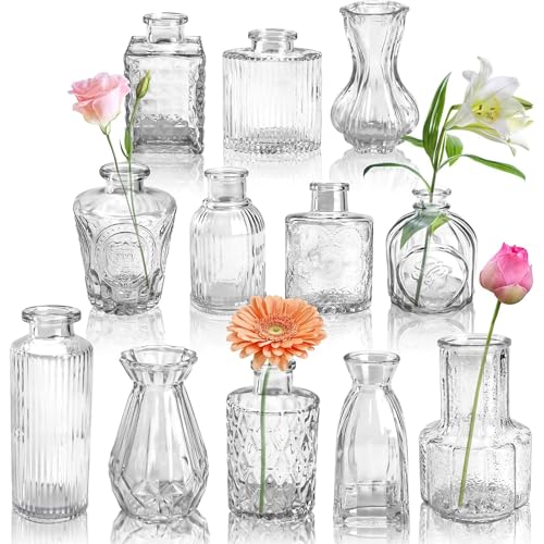Der Rose 12 Stück Kleine Vasen Glasvasen für Tischdeko Mini Vintage Vasen Set für Hochzeitsdeko Party Deko Geschenk von Der Rose