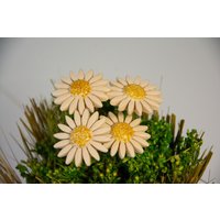 Gänseblümchen Weiß Aus Keramik | Handgefertigt Gänseblümchen Weiß Aus Keramik | Handgefertigt von DerNaturladen