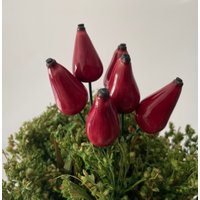 Hagebutte Aus Keramik 1 Stk Hagebutte Aus Keramik 1 Stk von DerNaturladen