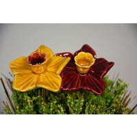 Keramikblume Narzisse Groß | Erhältlich in 2 Verschiedenen Farben, Durchmesser Blüte 6, 5 cm Keramikblume Narzisse Groß | Erhältlich in 2 Verschiedenen Farben, Durchmesser Blüte 6, 5 cm von DerNaturladen