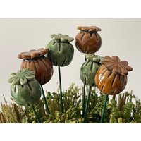 Mohnkapsel Aus Keramik Mohnkapsel Aus Keramik von DerNaturladen