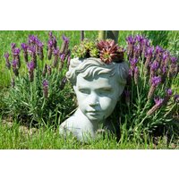 Pflanzkopf/Junge Pflanzkopf/Junge von DerNaturladen