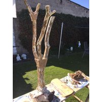 Treibholz Lampe von DerryDesignShop