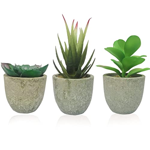 3 Stücke Künstliche Sukkulenten Pflanzen Kunstpflanzen mit Töpfen ideal für Tischdeko Haus Balkon Büro Deko usw von Deruxan