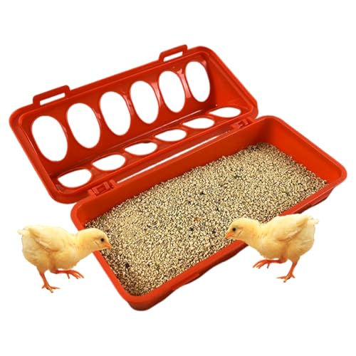 Futtertrog Für Küken - Hühnerfuttertrog - Futtertrogs Mit Fressgitter Für Hühner - Vögel & Geflügel | Geeignet Für Jedes Futter von Derwrtup