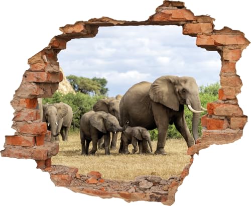DesFoli Wandtattoo Elefanten Herde inf Afrika - verschiedene Rahmentypen DW000104 Farbe Roter Stein Quadratisch, Größe 121 cm x 100 cm DesFoli Wandtattoo Elefanten Herde inf Afrika - verschiedene Rahmentypen DW000104 Farbe Roter Stein Quadratisch, Größe 121 cm x 100 cm von DesFoli