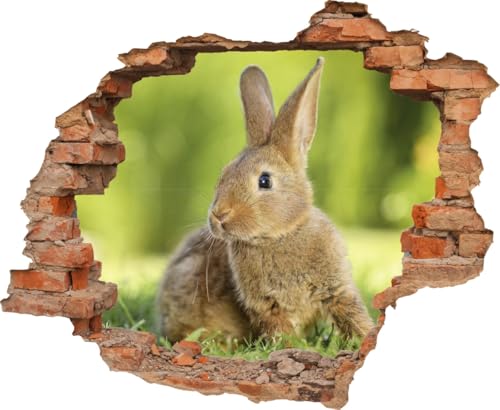 DesFoli Wandtattoo Kleines Kaninchen Hase - verschiedene Rahmentypen DW000106 Farbe Roter Stein Quadratisch, Größe 85 cm x 70 cm DesFoli Wandtattoo Kleines Kaninchen Hase - verschiedene Rahmentypen DW000106 Farbe Roter Stein Quadratisch, Größe 85 cm x 70 cm von DesFoli