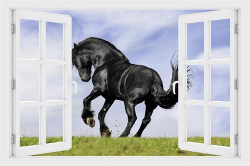 DesFoli Wandtattoo Schwarzes Pferd auf der Weide Tier - verschiedene Rahmentypen DW00001 Farbe Fensterrahmen Querformat, Größe 90 cm x 60 cm DesFoli Wandtattoo Schwarzes Pferd auf der Weide Tier - verschiedene Rahmentypen DW00001 Farbe Fensterrahmen Querformat, Größe 90 cm x 60 cm von DesFoli