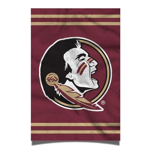 Desert Cactus Florida State University Poster Seminoles FSU 27,9 x 43,2 cm, Raumbüro-Dekoration, offizielle Fanausrüstung (27,9 x 43,2 cm, Version 3) von Desert Cactus