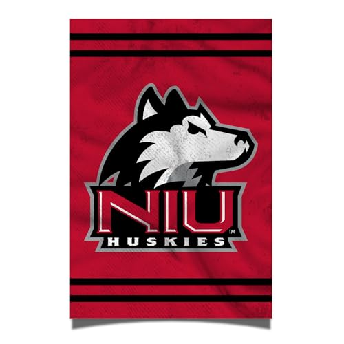 Desert Cactus Poster der Northern Illinois University, NIU Huskies, 27,9 x 43,2 cm, Raum, Büro, Dekoration, offizielle Fanausrüstung (27,9 x 43,2 cm, Version 3) von Desert Cactus