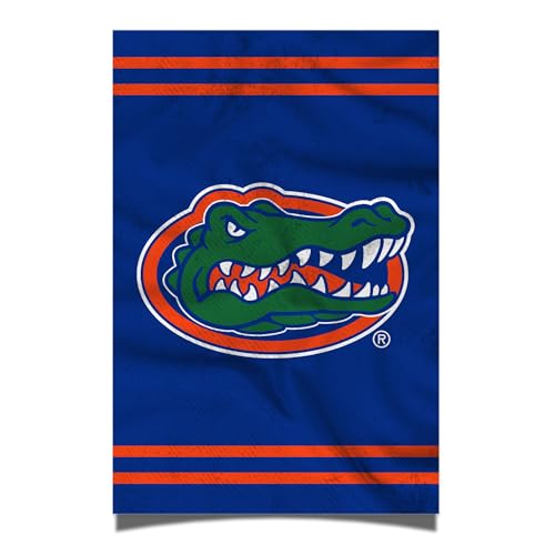 Desert Cactus Poster der Universität von Florida, UF Gators, 27,9 x 43,2 cm, Raumbürodekoration, offizielle Fanausrüstung (27,9 x 43,2 cm, Version 3) von Desert Cactus