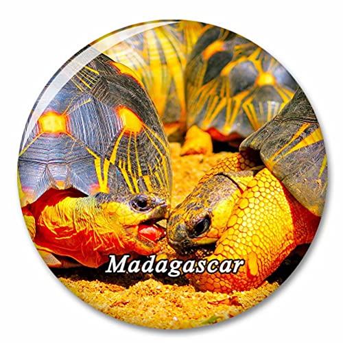 Madagaskar Kühlschrank Magnete Dekorative Magnet Flaschenöffner Tourist City Travel Souvenir Collection Geschenk Starker Kühlschrank Aufkleber von Desert Eagle