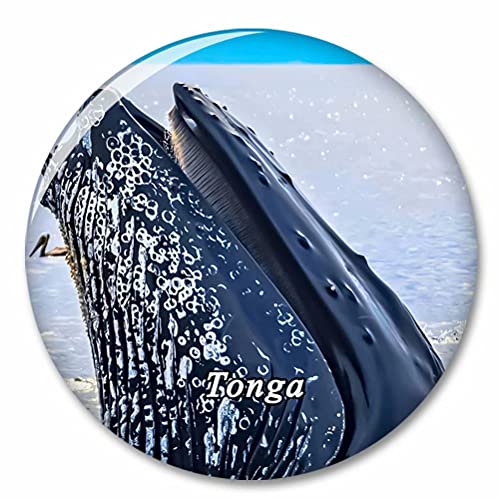 Tonga Kühlschrank Magnete Dekorative Magnet Flaschenöffner Tourist City Travel Souvenir Collection Geschenk Starker Kühlschrank Aufkleber von Desert Eagle