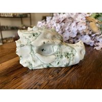 0.6lb Moosachat Drachenkopf | Natürlicher Kristall Drachenschädel Harmonie Fülle Neuanfänge von DesertSageCrystals
