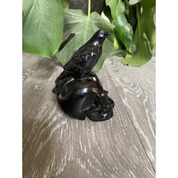 1lb Schwarzer Obsidian Schädel Und Rabe Krähe Vogel | Crystal Metaphysical Healing Wohnkultur Natürlicher Geschnitzter Polierter Stein von DesertSageCrystals