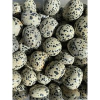 Dalmation Jaspis Trommel | Natur Taschenstein Erdung Balance Schutz von DesertSageCrystals