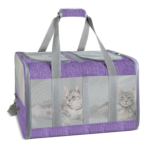 Katzentrage für 2 Katzen - Faltbare Katzen- und Hundetrage mit Anti-Fight-Trennwand, weiche Seiten-Haustiertragetasche mit selbstsichernden Reißverschlüssen für Kätzchen, Kaninchen, Welpen Katzentrage für 2 Katzen - Faltbare Katzen- und Hundetrage mit Anti-Fight-Trennwand, weiche Seiten-Haustiertragetasche mit selbstsichernden Reißverschlüssen für Kätzchen, Kaninchen, Welpen von Desfir