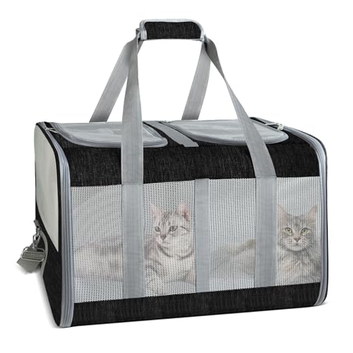 Katzentrage für 2 Katzen - Faltbare Katzen- und Hundetrage mit Anti-Fight-Trennwand, weiche Seiten-Haustiertragetasche mit selbstsichernden Reißverschlüssen für Kätzchen, Kaninchen, Welpen Katzentrage für 2 Katzen - Faltbare Katzen- und Hundetrage mit Anti-Fight-Trennwand, weiche Seiten-Haustiertragetasche mit selbstsichernden Reißverschlüssen für Kätzchen, Kaninchen, Welpen von Desfir