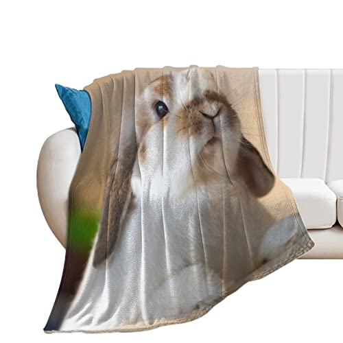 Kuscheldecke Kaninchen Wohndecke Weich Warm Flanell Fleecedecke Sofadecke Bettüberwurf 150×200cm von Desheze