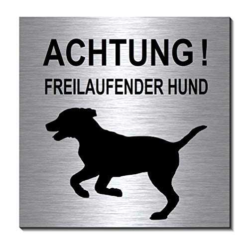 Achtung-Freilaufender-Hund-Schild 100 x 100 x 3 mm-Aluminium Edelstahloptik silber mattgebürstet Hinweisschild-1910-65 von Desi-Schilder