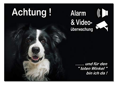 Border Collie-Alarm-Video-Überwachung-Hund-3 Größen-2-3 mm Materialstärke-Schild-Hundeschild-Aluminium-Hunde-Tierschild-Warnschild-Hinweisschild (1451-104 -30 x 20 cm mit Eigenbild) von Desi-Schilder