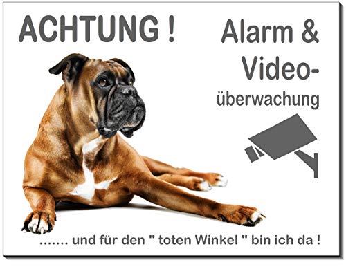 Boxer-Alarm-Video-Schild-3 Größen-Aluminium Verbund-Hund-Tierschild-Warnschild-Hinweisschild (1451-69 -300 x 200 x 2 mm mit Löcher) von Desi-Schilder
