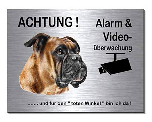 Boxer-Alarm-Video-Überwachung-Hund-20 x 15 cm-Schild-Hundeschild-Aluminium Edelstahloptik-Hunde-Tierschild-Warnschild-Hinweisschild (249-11 mit Löcher) von Desi-Schilder